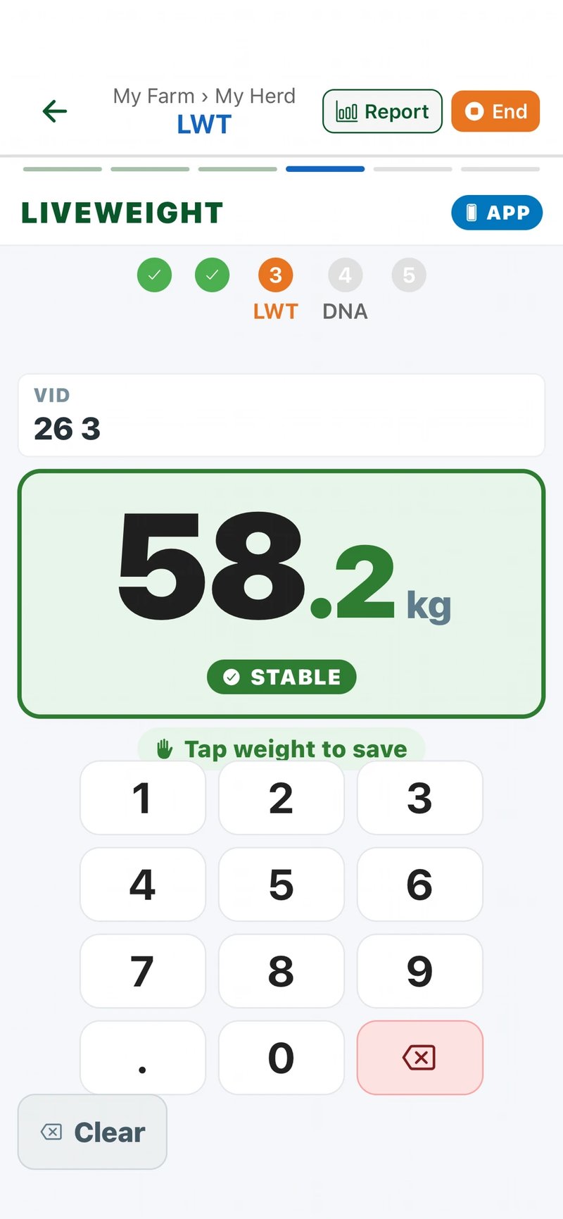 Liveweight Recording — Arvo app screenshot